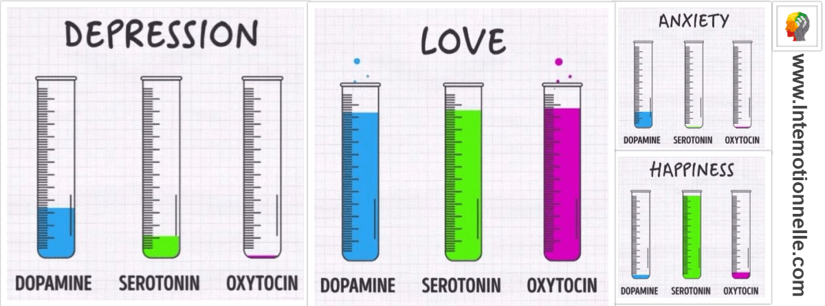 hormones et emotions