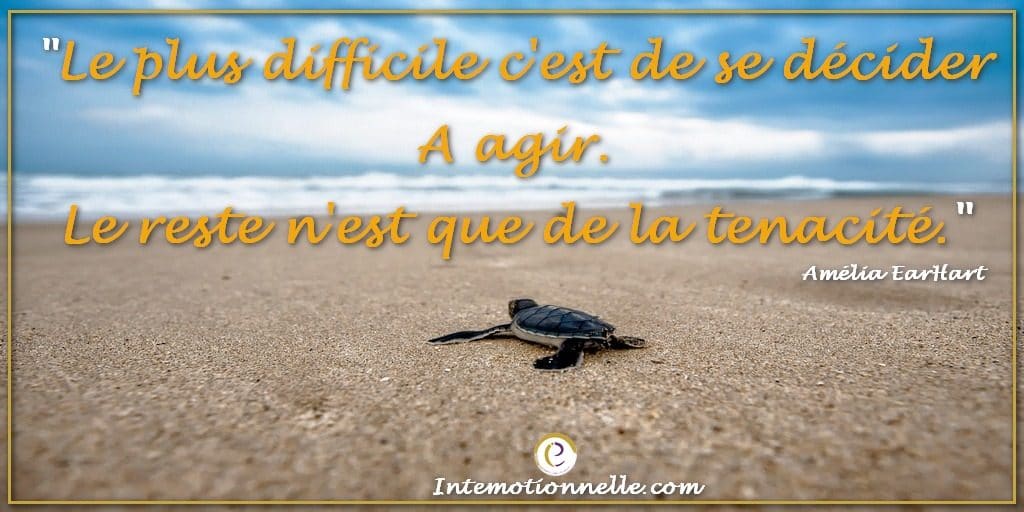 Le plus difficile c est se decider a agir le reste c est de la tenacite motivation intemotionnelle intelligence emotionnelle